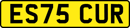 ES75CUR