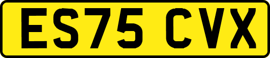 ES75CVX