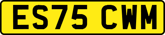 ES75CWM