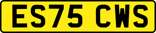ES75CWS