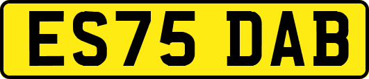 ES75DAB