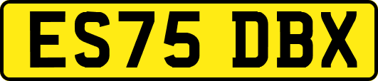ES75DBX