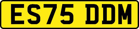 ES75DDM
