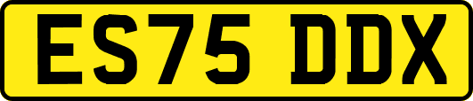 ES75DDX