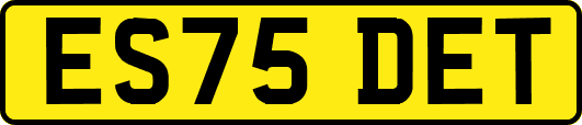 ES75DET