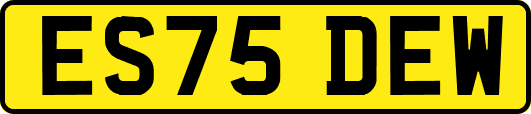 ES75DEW