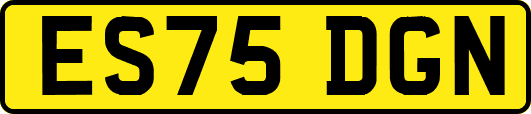 ES75DGN