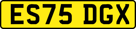 ES75DGX