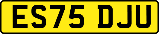 ES75DJU