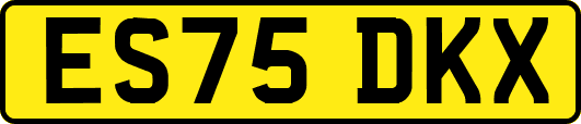 ES75DKX