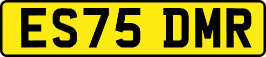 ES75DMR