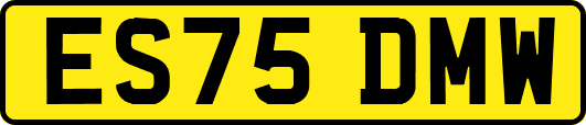 ES75DMW