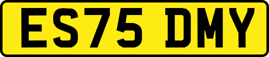 ES75DMY