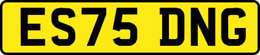 ES75DNG