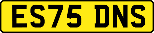 ES75DNS