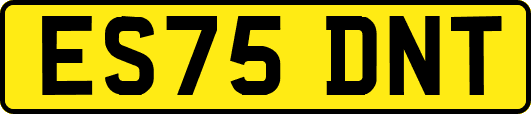 ES75DNT