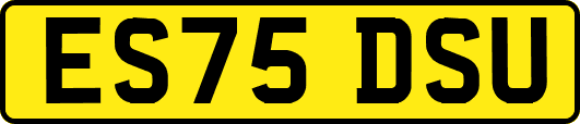 ES75DSU