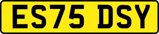 ES75DSY