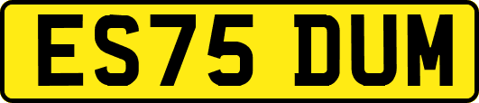 ES75DUM