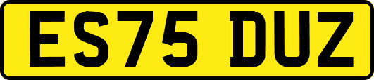ES75DUZ