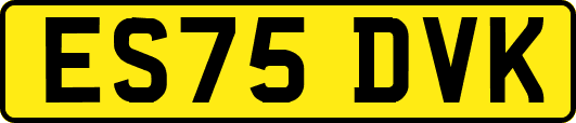 ES75DVK