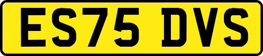 ES75DVS