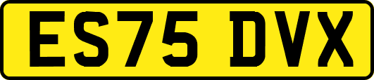 ES75DVX