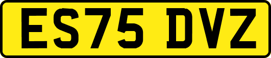 ES75DVZ