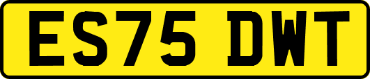 ES75DWT
