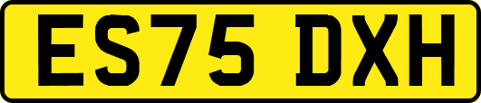 ES75DXH