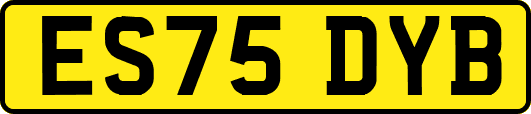 ES75DYB