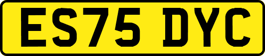ES75DYC
