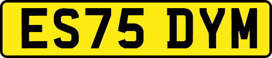 ES75DYM