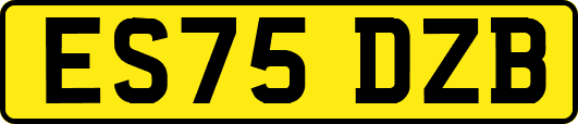 ES75DZB