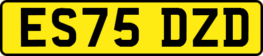 ES75DZD
