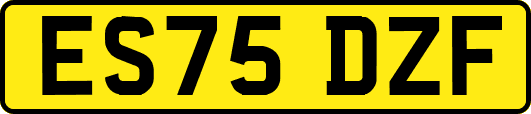 ES75DZF