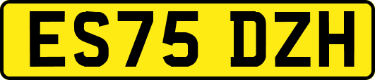 ES75DZH