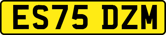 ES75DZM