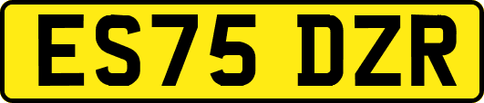 ES75DZR