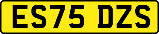 ES75DZS