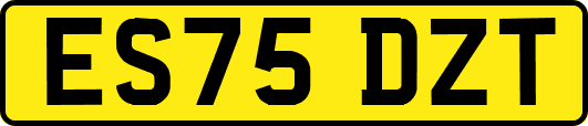 ES75DZT