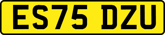 ES75DZU