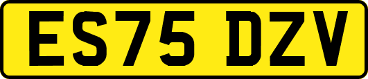ES75DZV