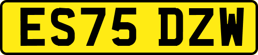 ES75DZW