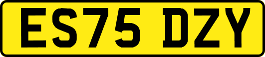 ES75DZY