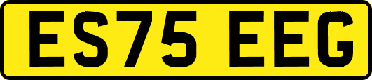 ES75EEG