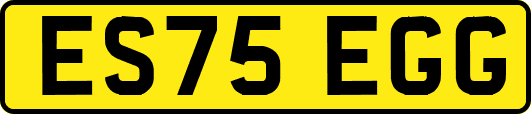 ES75EGG