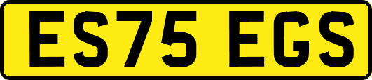 ES75EGS