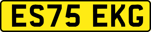ES75EKG