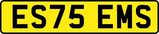 ES75EMS